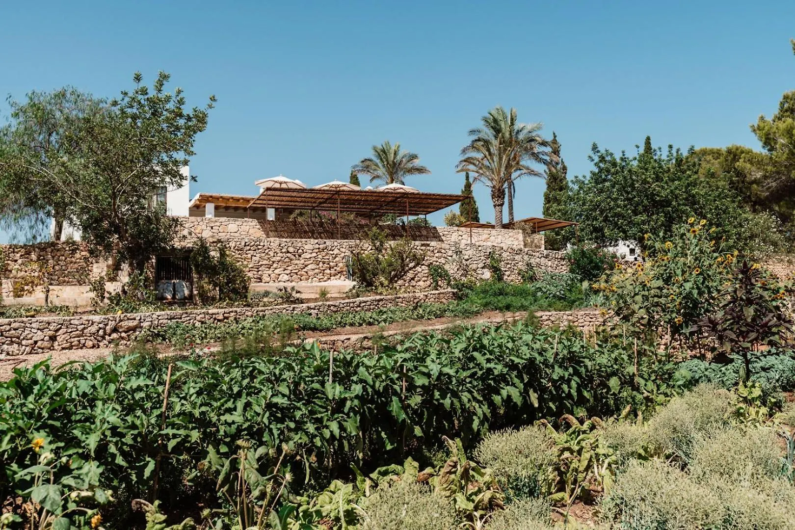 Aguamadera Villa Santa Eularia des Riu Vakantieboerderij
